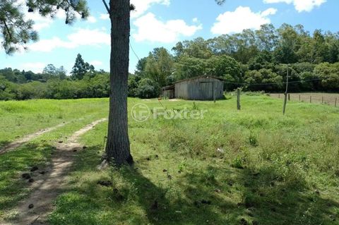 Foto Fazenda / Sítio / Chácara
