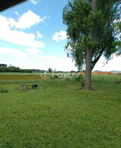 Foto Fazenda / Sítio / Chácara