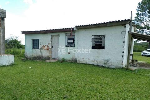 Foto Fazenda / Sítio / Chácara