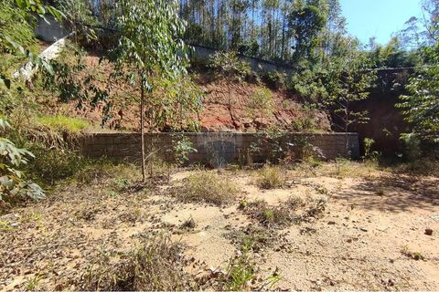 Foto Terreno
