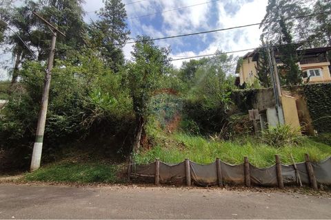 Foto Terreno