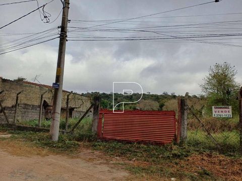Foto Terreno