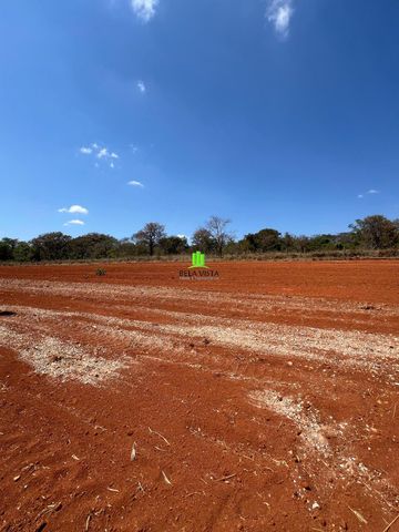Foto Terreno