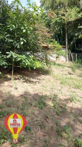 Foto Fazenda / Sítio / Chácara