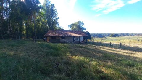 Foto Fazenda / Sítio / Chácara