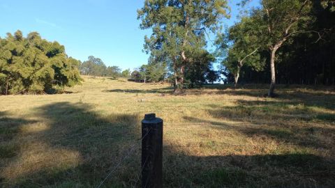 Foto Fazenda / Sítio / Chácara