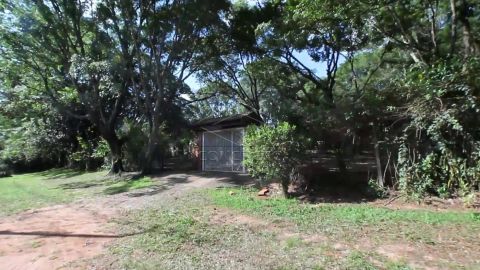 Foto Fazenda / Sítio / Chácara