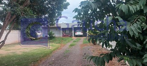 Foto Terreno