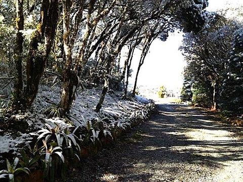 Foto Fazenda / Sítio / Chácara