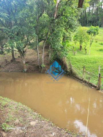 Foto Fazenda / Sítio / Chácara