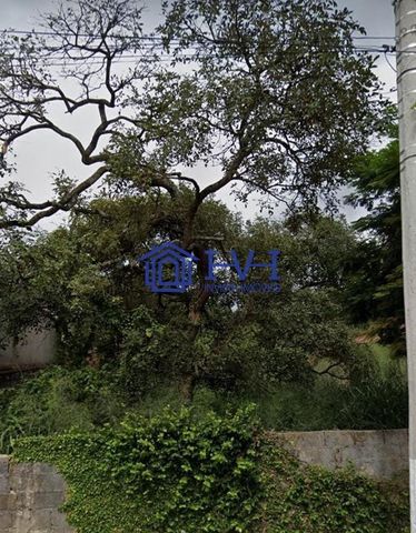 Foto Terreno