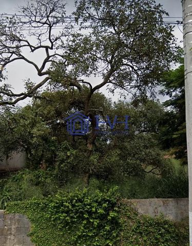 Foto Terreno