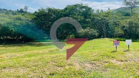 Foto Terreno