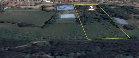 Foto Terreno