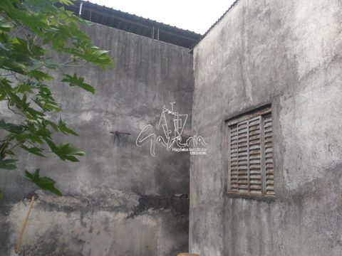 Foto Terreno