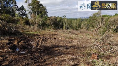 Foto Fazenda / Sítio / Chácara