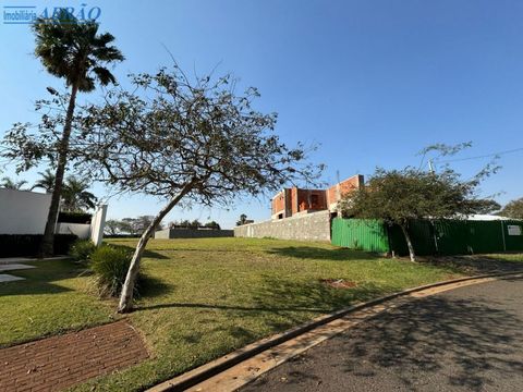 Foto Terreno