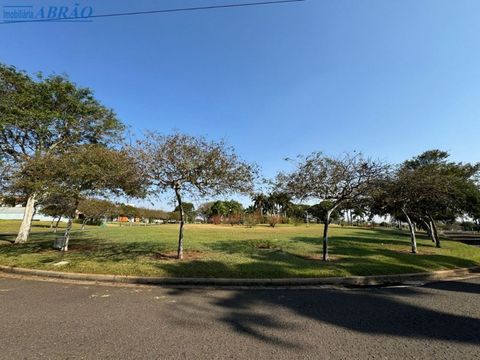 Foto Terreno