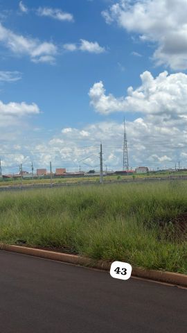 Foto Terreno
