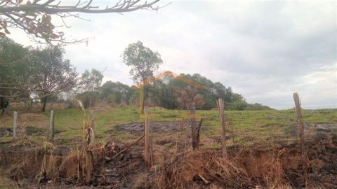 Foto Terreno