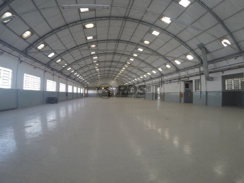 Foto Galpão / Depósito / Armazém / Pavilhão