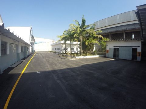 Foto Galpão / Depósito / Armazém / Pavilhão