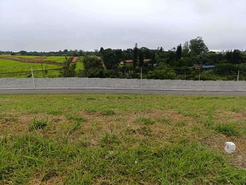 Foto Terreno