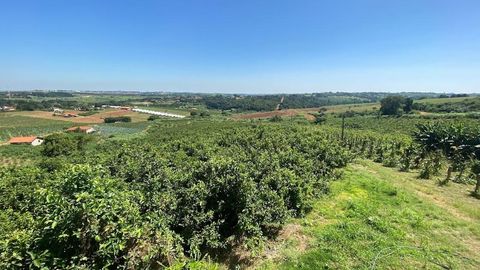 Foto Fazenda / Sítio / Chácara