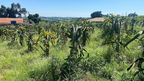 Foto Fazenda / Sítio / Chácara