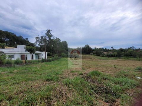 Foto Terreno