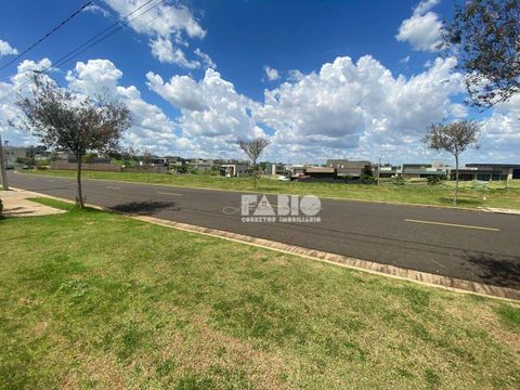 Foto Terreno