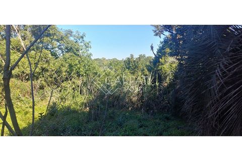 Foto Fazenda / Sítio / Chácara