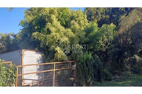 Foto Fazenda / Sítio / Chácara