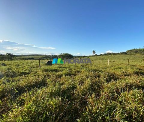 Foto Fazenda / Sítio / Chácara
