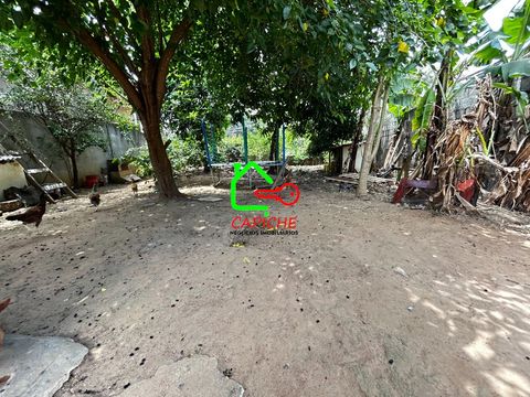 Foto Terreno