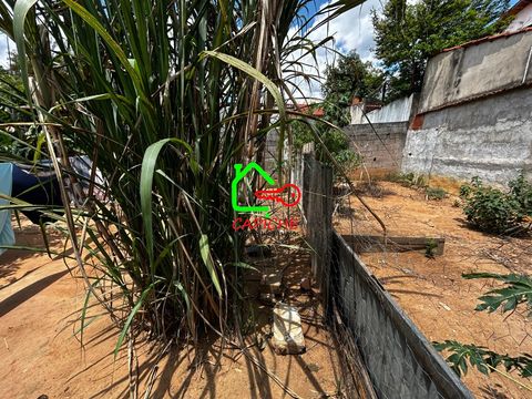 Foto Terreno