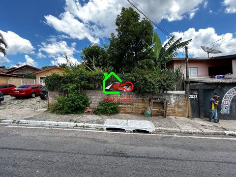 Foto Terreno
