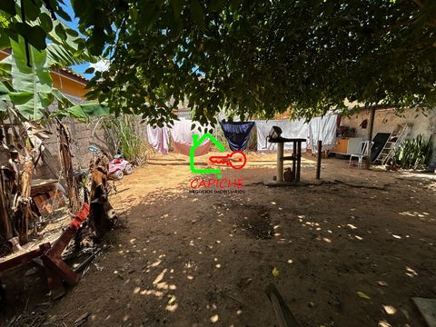 Foto Terreno