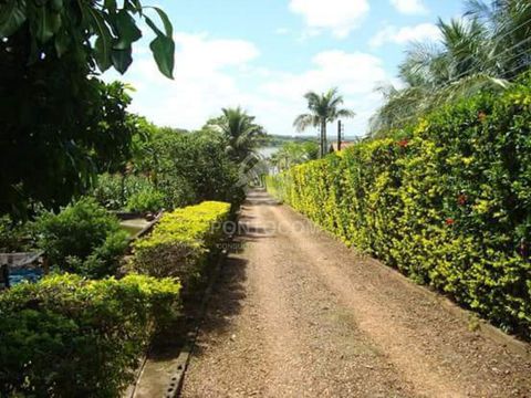 Foto Fazenda / Sítio / Chácara