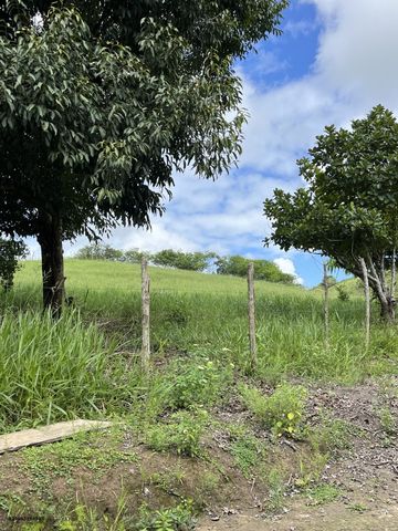 Foto Fazenda / Sítio / Chácara