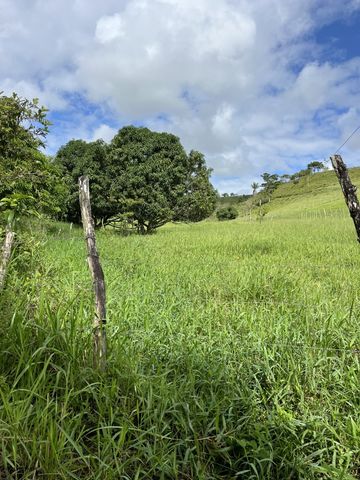 Foto Fazenda / Sítio / Chácara