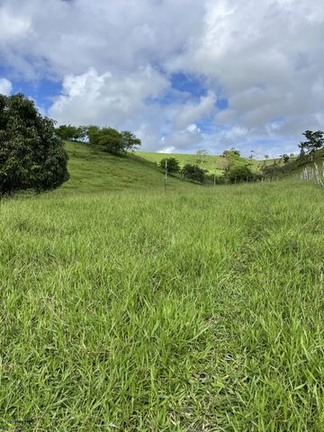 Foto Fazenda / Sítio / Chácara