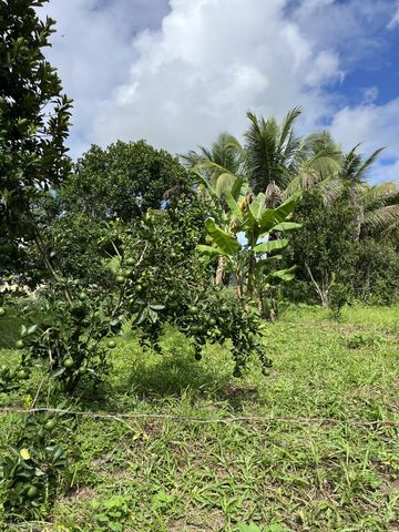 Foto Fazenda / Sítio / Chácara