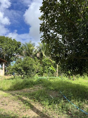 Foto Fazenda / Sítio / Chácara