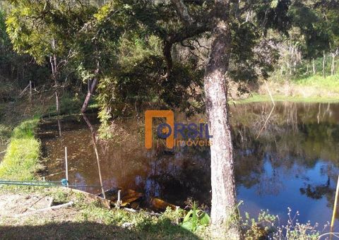 Foto Fazenda / Sítio / Chácara