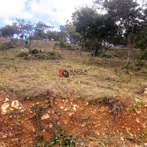 Foto Terreno