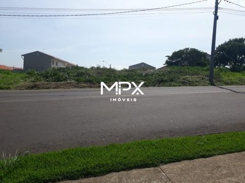 Foto Terreno
