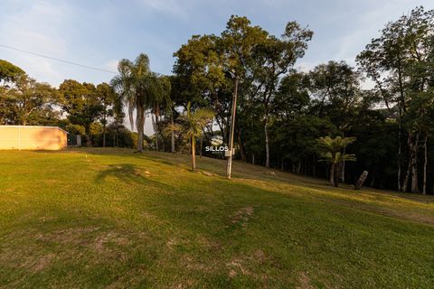Foto Sala / Conjunto Comercial
