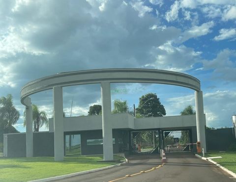 Foto Terreno