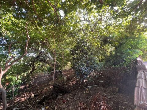Foto Terreno
